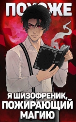 Похоже, я шизофреник, пожирающий магию. Том 1. Том 2 (СИ)
