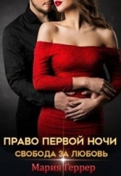 Право первой ночи. Свобода за любовь (СИ)