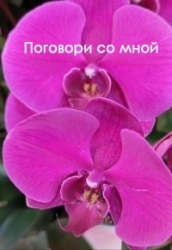 Поговори со мной (СИ)