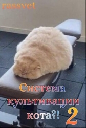 Система культивации кота 2 (СИ)