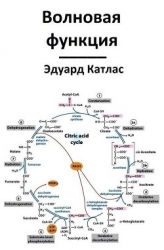 Волновая функция (СИ)