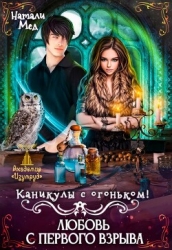 Каникулы с огоньком. Любовь с первого взрыва (СИ)