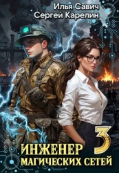 Инженер магических сетей 3 (СИ)