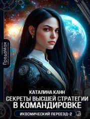 Секреты высшей стратегии в командировке (СИ)