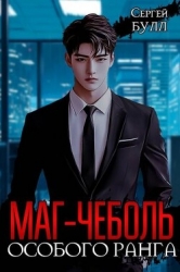 Маг-чеболь особого ранга (СИ)