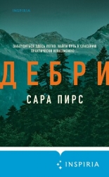 Дебри