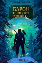 Барон особого назначения (СИ)