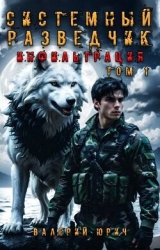 Системный разведчик. Инфильтрация. Дилогия (СИ)