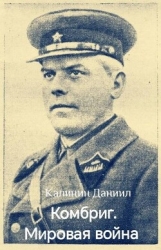 Мировая война (СИ)