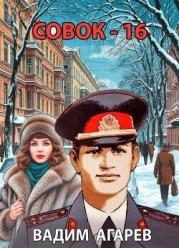 Совок 16 (СИ)